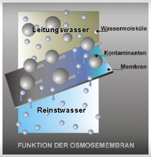 Funktion der Osmosemembran